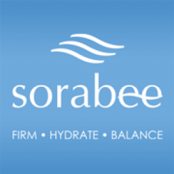 公司動向 - Sorabee